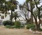 jardins